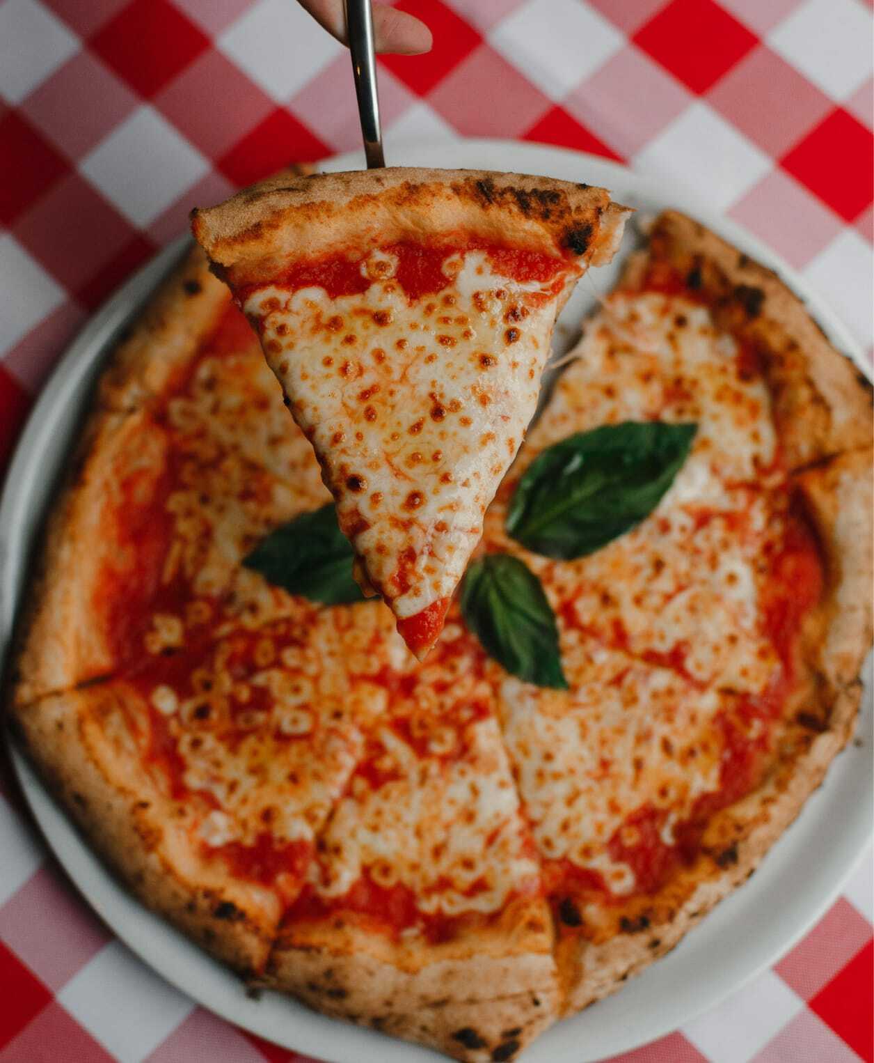 The daily craft behind every pizza - from the chef's hands to the table