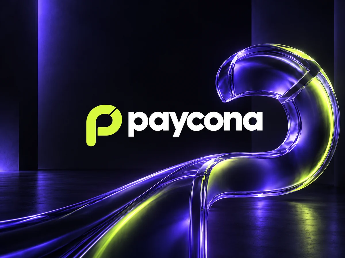 Paycona - Paycona: zīmola identitāte un SaaS platformas dizains